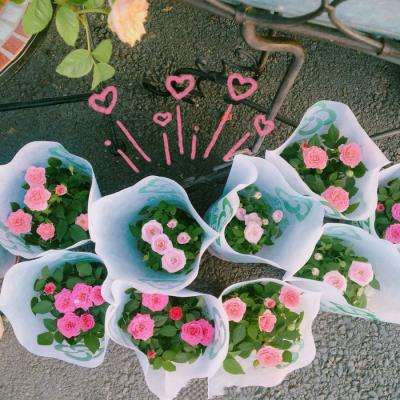 能下钱的打鱼游戏截图